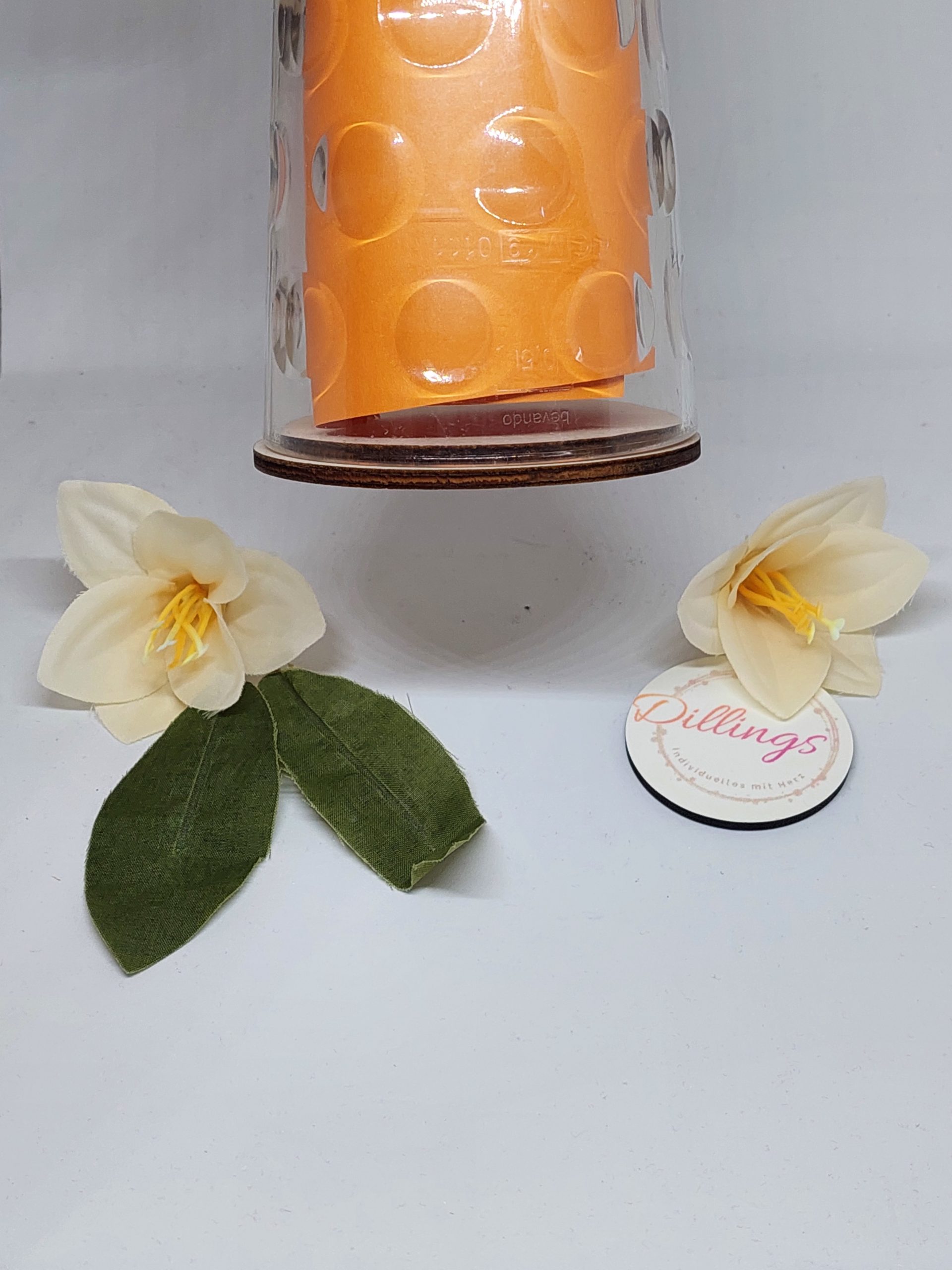 Deckel Holz Dubbe Glas – Bild 5